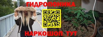 эйфоретик Будённовск