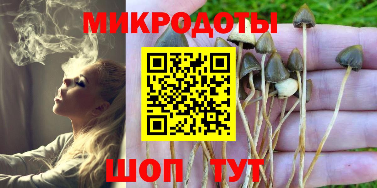 Псилоцибиновые грибы GOLDEN TEACHER Лосино-Петровский